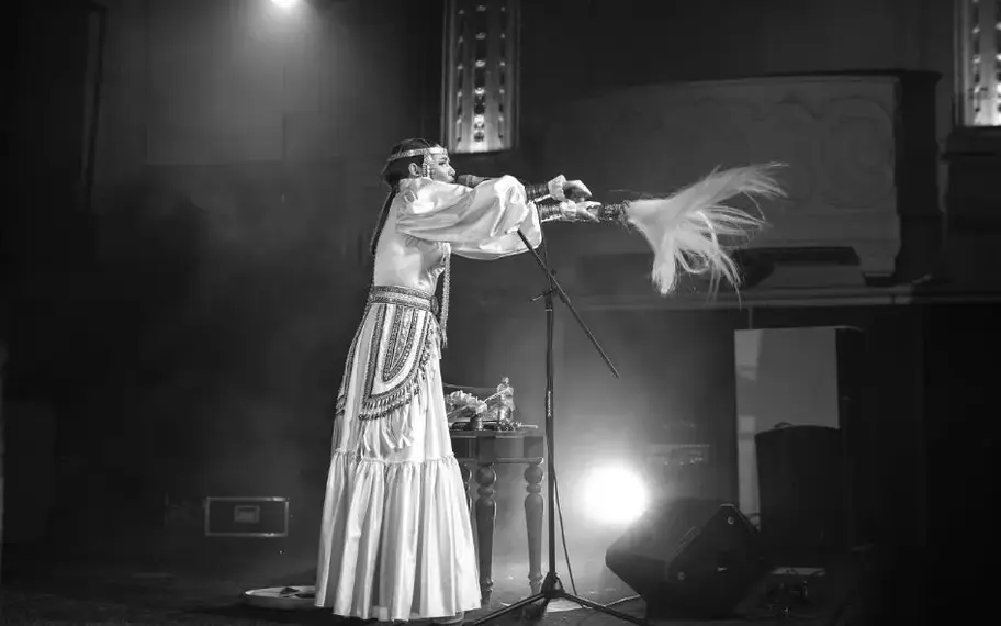 Без названия