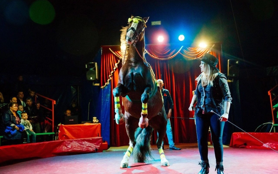 Без названия