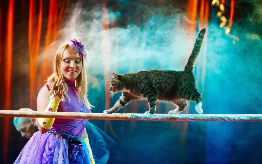 Без названия