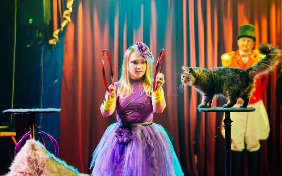 Без названия