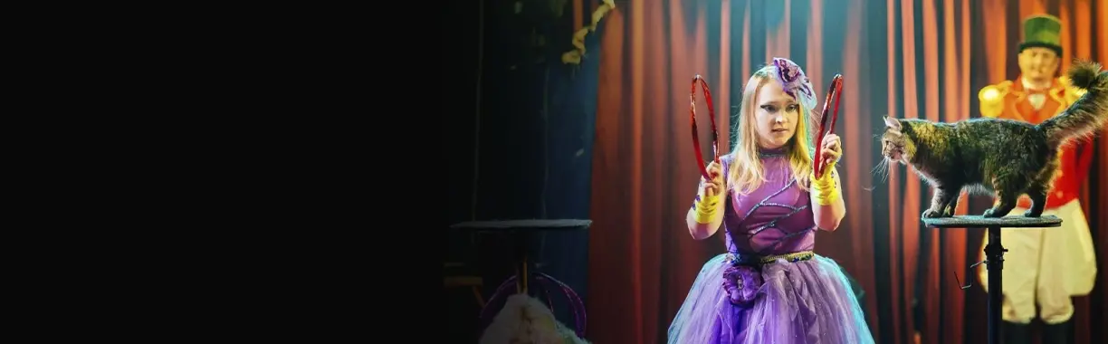 Тайна снежных львов