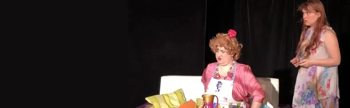 Тёща есть, ума не надо!