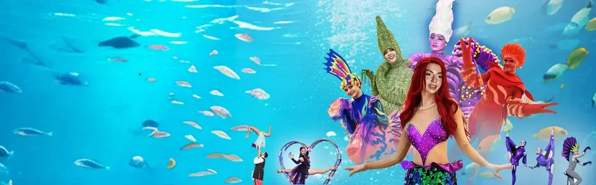 Театрализованное цирковое шоу «Русалочка»