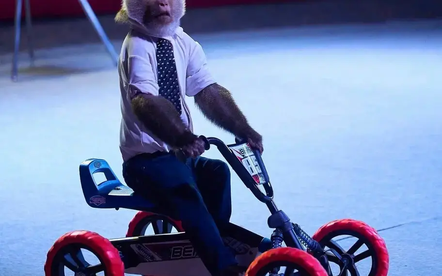 Без названия