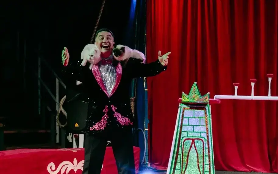 Без названия